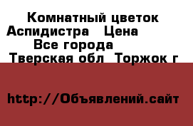 Комнатный цветок Аспидистра › Цена ­ 150 - Все города  »    . Тверская обл.,Торжок г.